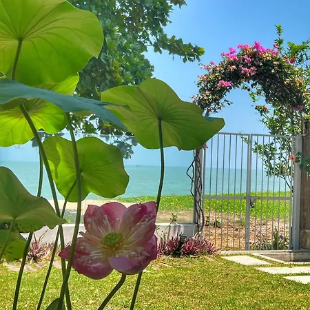 Smell Rose Beach Garden